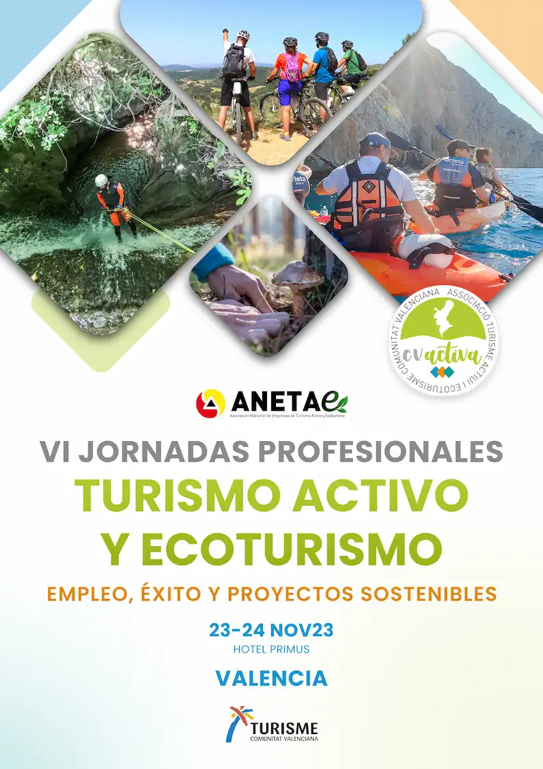 Cartel VI Jornadas Profesionales ANETAE